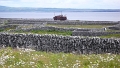 Irlande juin 2008 5